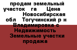 продам земельный участок  1га,  › Цена ­ 450 000 - Новосибирская обл., Тогучинский р-н, Владимировка с. Недвижимость » Земельные участки продажа   